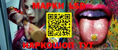 прущий лед Новозыбков