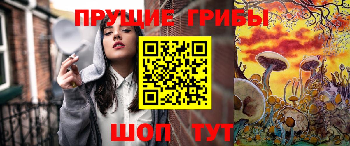 Галлюциногенные грибы Cubensis  Вход с VPN  Серов 